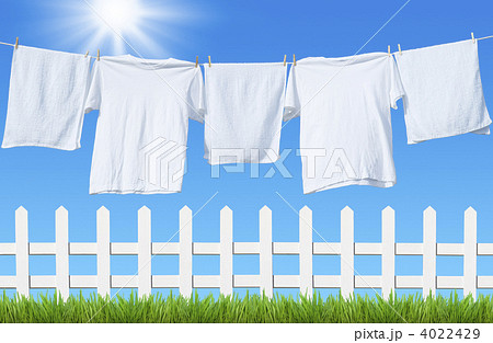 洗濯 洗濯 4022429