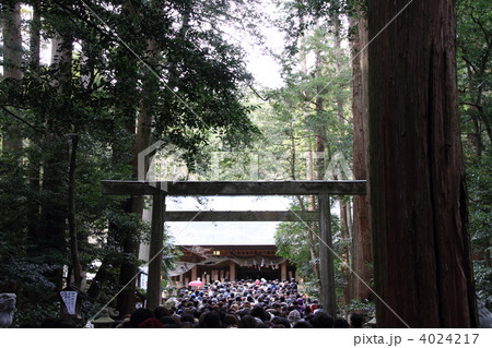 椿大神社の初詣 4024217