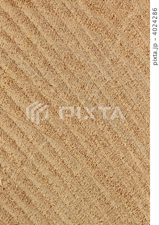 カツラ材 4024286