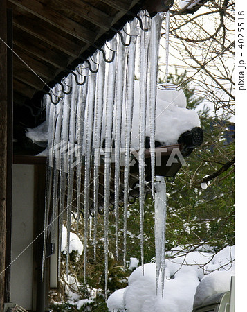 上石見　軒先の大氷柱 4025518