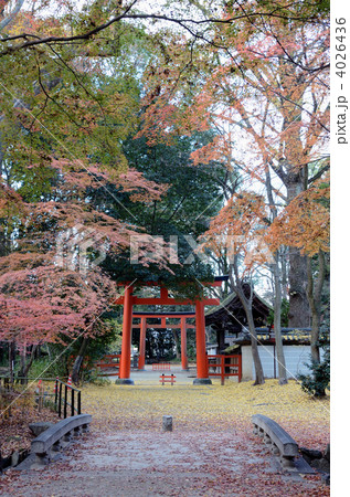 下鴨神社の参道 下鴨神社の参道 4026436