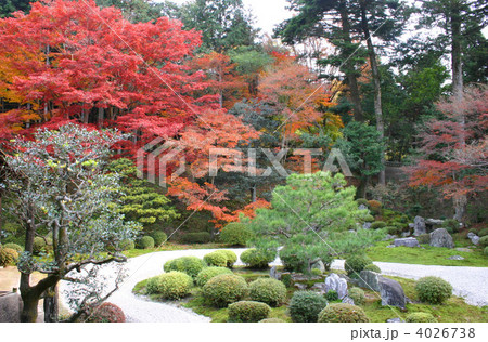 曼殊院門跡 庭園 曼殊院門跡 庭園 4026738