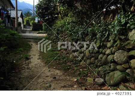 屋久島の旧道 4027391