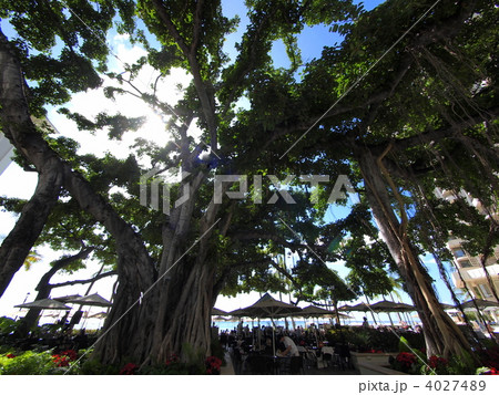 ワイキキリゾート 4027489