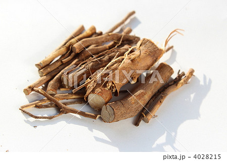 ニッキの枝（シナモン） 4028215