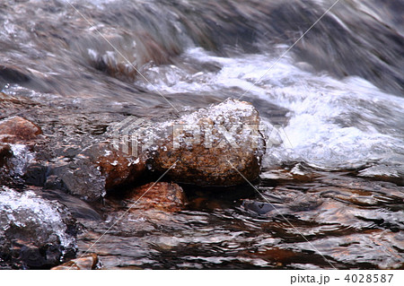 久慈川のシガ 久慈川のシガ 4028587