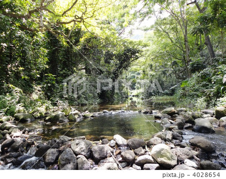 ワイピオ渓谷のマイナスイオン 4028654