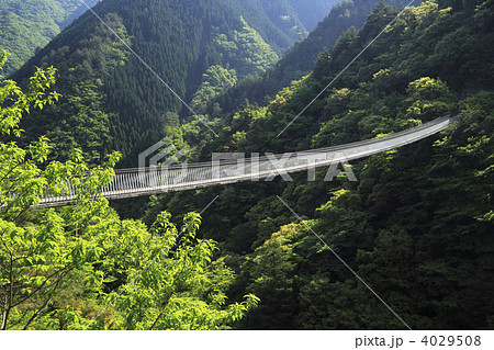 梅の木轟公園吊橋 4029508