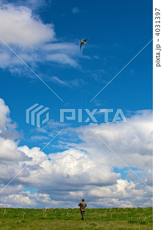 kite kite 4031397