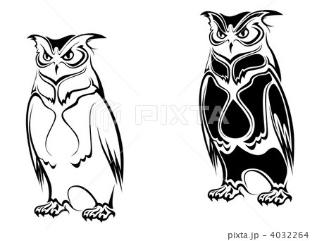 Isolated owl 4032264