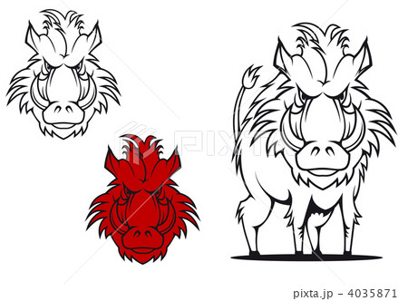 Wild boar Wild boar 4035871