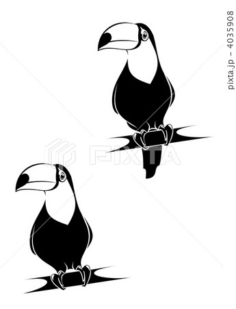 Funny toucan 4035908