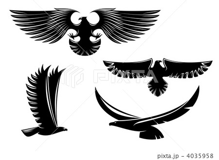 Heraldry Eagle Symbols And Tattooのイラスト素材