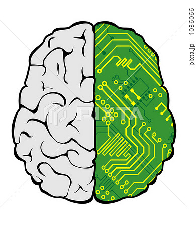 Brain and motherboard 4036066