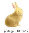 うさぎ 4036617