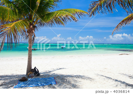 Tropical beach in Mexico 4036814
