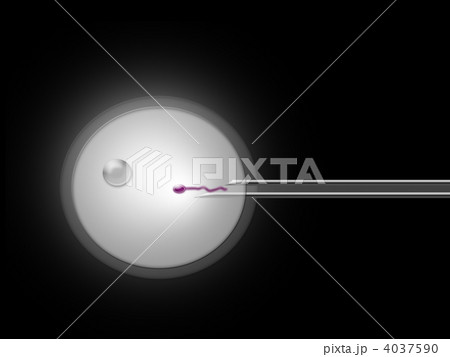 人工授精のイメージ　黒背景 4037590