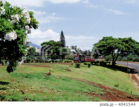 マウイ島のサトウキビ列車 マウイ島のサトウキビ列車 4041544