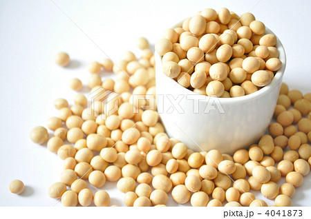 オーガニック　大豆 4041873