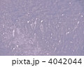 フロストフラワー 4042044