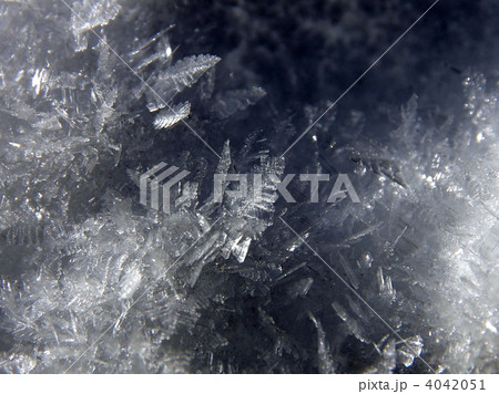 零下の芸術 4042051