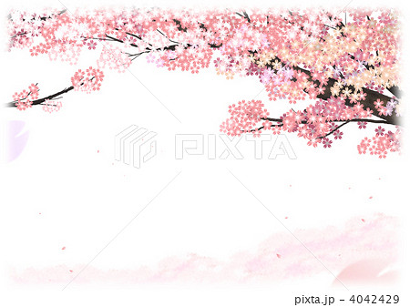 桜の木 桜 桜イラストのイラスト素材