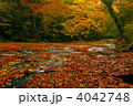菊池渓谷 4042748