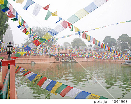 仏陀沐浴の蓮池 4044963