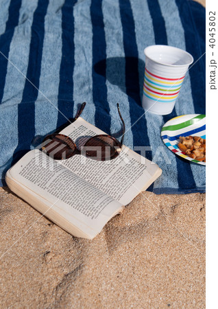 ビーチピクニック ビーチピクニック 4045802