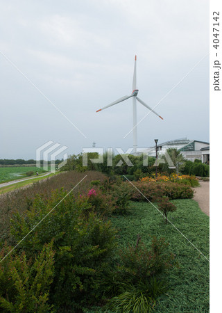 草津市立水生植物公園みずの森 くさつ夢風車 草津市立水生植物公園みずの森 くさつ夢風車 4047142