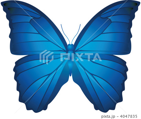 青い蝶のイラスト素材 [4047835] - PIXTA
