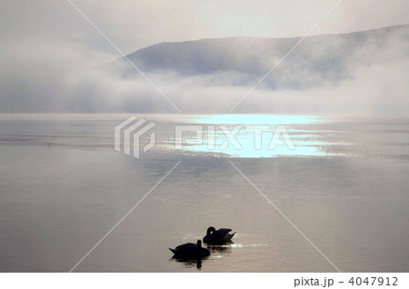 幻想山中湖 4047912