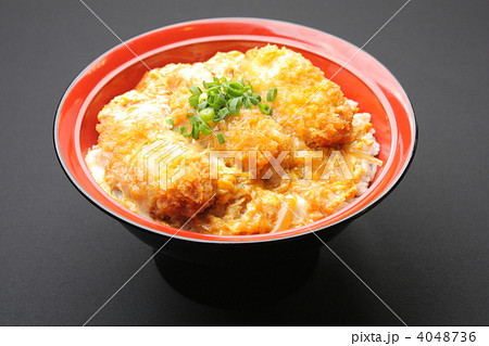 かつとじ丼 4048736