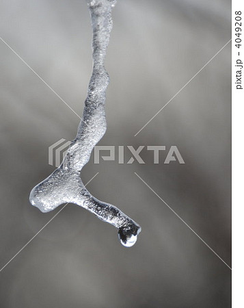 可愛いツララ 4049208