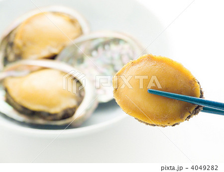 アワビの味噌煮 4049282