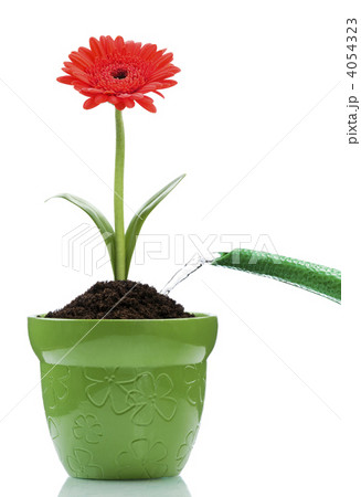 gardening 4054323