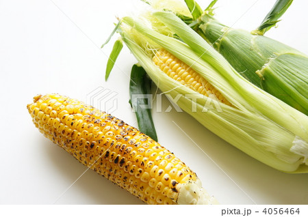 焼きトウモロコシ 焼きトウモロコシ 4056464