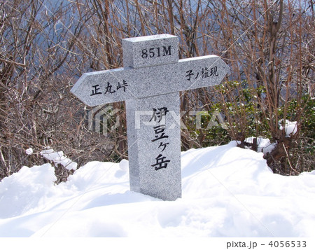 奥武蔵の伊豆ヶ岳山頂 4056533