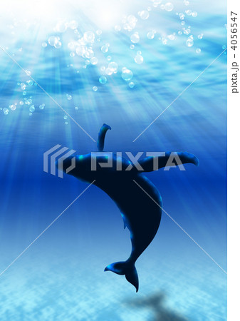 青い海のクジラ 4056547