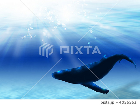 青い海のクジラ 4056563