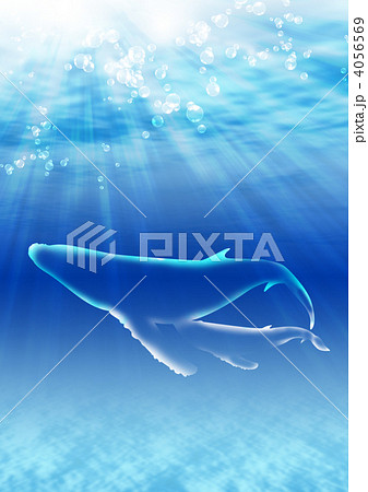 青い海のクジラ 4056569