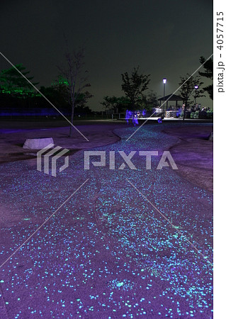 きらきら小径 4057715