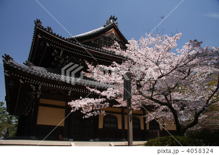 南禅寺の満開の桜 南禅寺の満開の桜 4058324