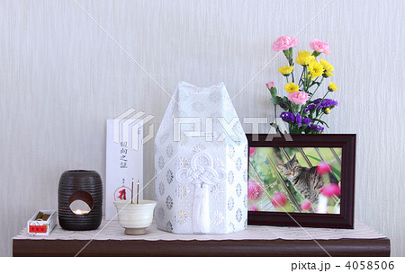 愛猫の簡易仏壇、遺骨あり 4058506