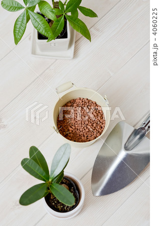 ハイドロカルチャー ハイドロカルチャー 4060225