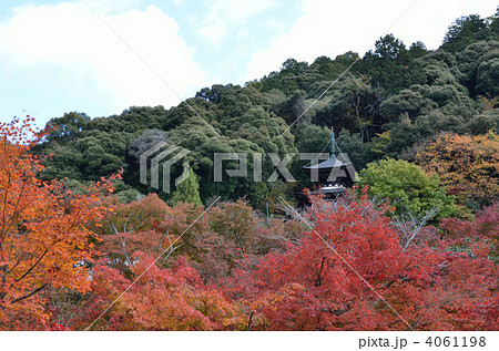 永観堂、借景の東山と中腹の多宝塔 4061198