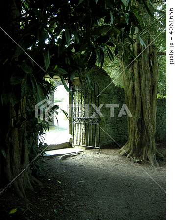 森の中の扉 4061656