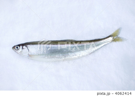 チカ チカ 4062414