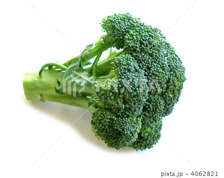 Broccoli isolated on white 4062821