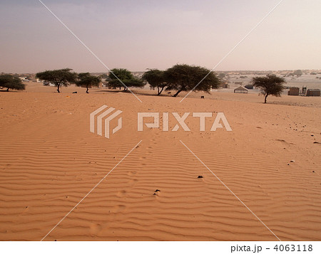 モーリタニア・ティゲン近郊のサハラ モーリタニア・ティゲン近郊のサハラ 4063118